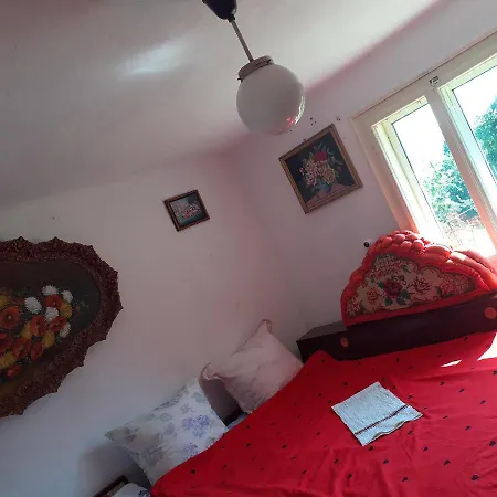 Pensiune Sejour Cozy Casa Mountain Cu Acces Ciubăr,roşia Montana