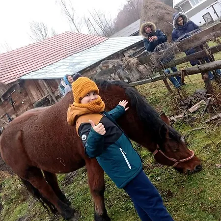 Sejour Farm Casuta Traditionala,rosia Montana, Acces Optional Hottube Rosia Montana