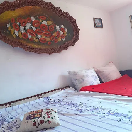 Sejour Farm Casuta Traditionala,rosia Montana, Acces Optional Hottube * Rosia Montana