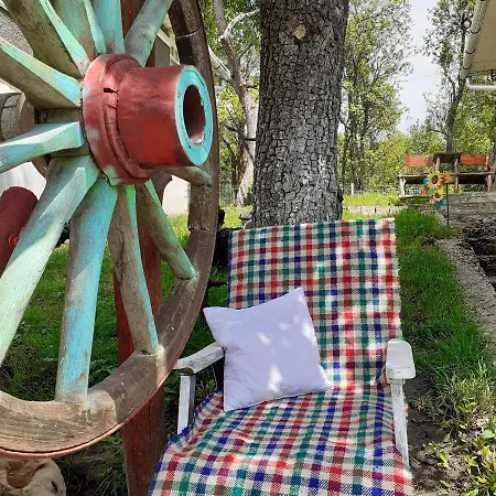 Guest house Sejour Farm Casuta Traditionala,rosia Montana, Acces Optional Hottube *