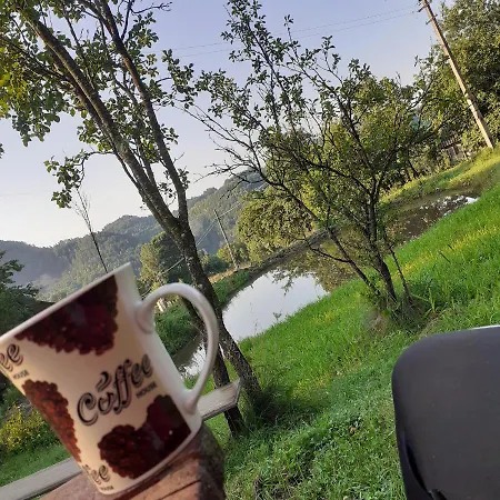 Sejour Cozy Casa Mountain Cu Acces Ciubăr,roşia Montana Pensiune Rosia Montana