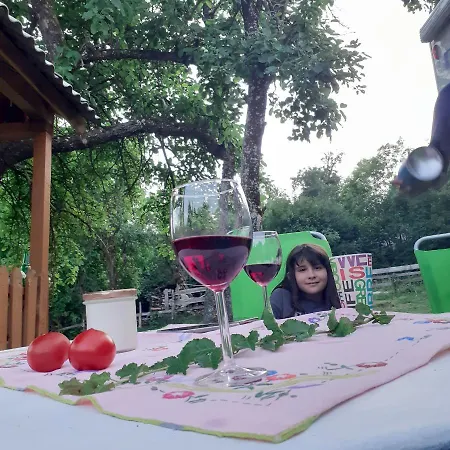 Sejour Farm Casuta Traditionala,rosia Montana, Acces Optional Hottube Rosia Montana