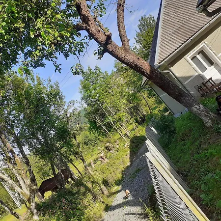 Sejour Cozy Casa Mountain Cu Acces Ciubăr,roşia Montana