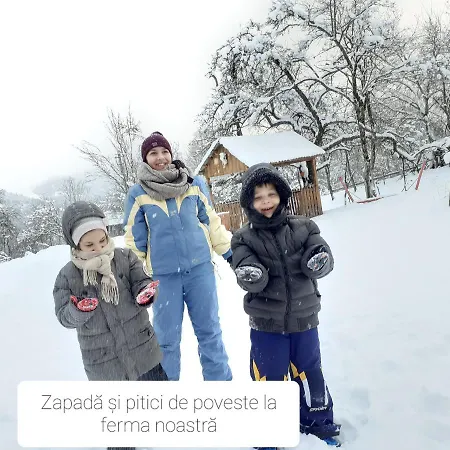 Sejour Farm Casuta Traditionala,rosia Montana, Acces Optional Hottube Guest house Rosia Montana