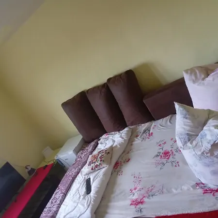 Sejour Cozy Casa Mountain Cu Acces Ciubăr,roşia Montana * Rosia Montana
