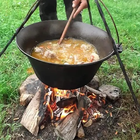 Retreat Casuta Traditionala,rosia Montana Maison d'hôtes *