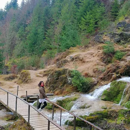 Sejour Farm Casuta Traditionala,rosia Montana, Acces Optional Hottube Guest house