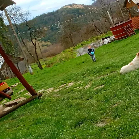 Sejour Farm Casuta Traditionala,rosia Montana, Acces Optional Hottube Guest house *
