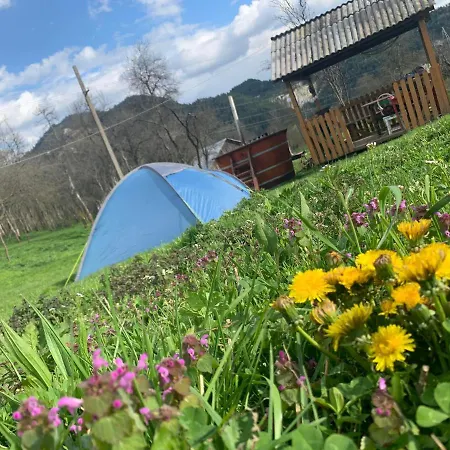 Sejour Cozy Casa Mountain Cu Acces Ciubăr,roşia Montana *