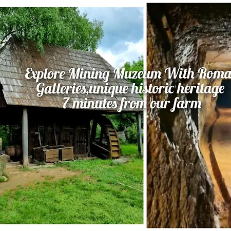 Sejour Farm Casuta Traditionala,rosia Montana, Acces Optional Hottube
