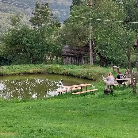 Sejour Farm Casuta Traditionala,rosia Montana, Acces Optional Hottube Rosia Montana