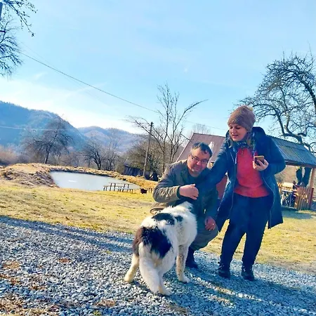 Sejour Cozy Casa Mountain Cu Acces Ciubăr,roşia Montana