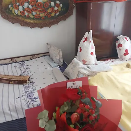 Sejour Farm Casuta Traditionala,rosia Montana, Acces Optional Hottube