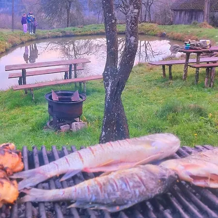 Guest house Sejour Farm Casuta Traditionala,rosia Montana, Acces Optional Hottube Rosia Montana