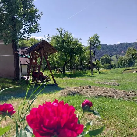 Retreat Casuta Traditionala,rosia Montana * Rosia Montana